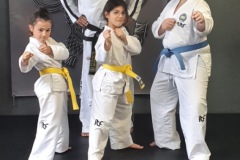 bc260677-ea26-46db-ad6e-3fbad0b1c1fd-Large